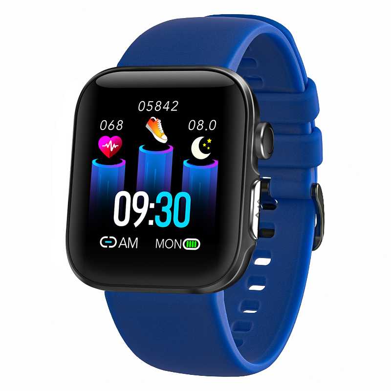 FITVII GT2 SmartWatch ECG with Heart Rate Blood Pressure Monitor fitvii